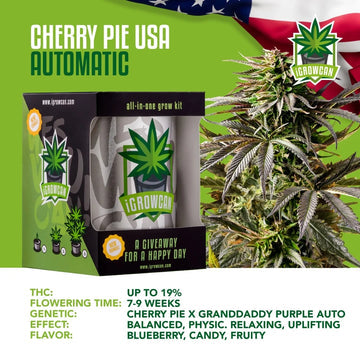 iGrowCan Automatic | Cherry Pie USA