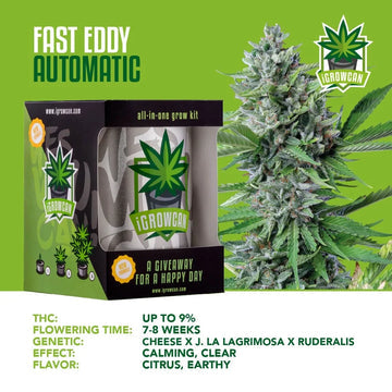 iGrowCan Automatic | Fast Eddy
