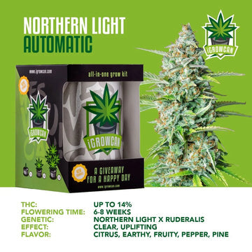 iGrowCan Automatic | Northern Light