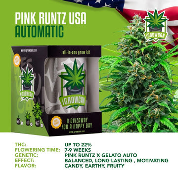 iGrowCan Automatic | Pink Runtz USA