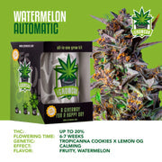 iGrowCan Automatic | Watermelon