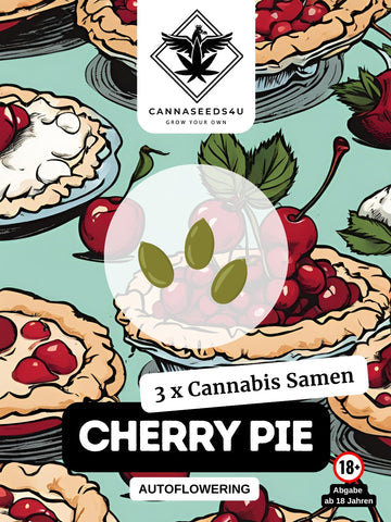 Cannabis Samen | Cherry Pie