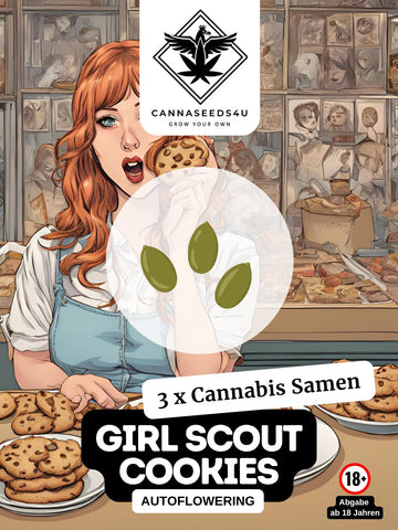 Cannabis Samen | Girl Scout Cookies