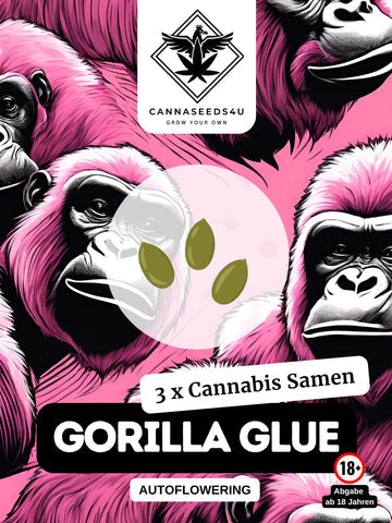 Cannabis Samen | Gorilla Glue