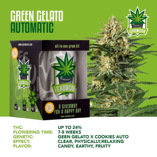 iGrowCan Automatic | Green Gelato