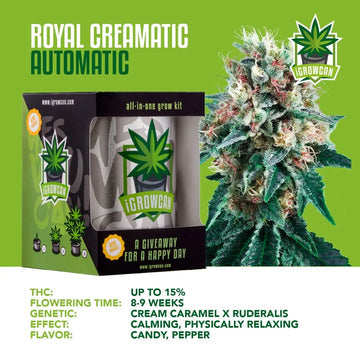 iGrowCan Automatic | Royal Creamatic