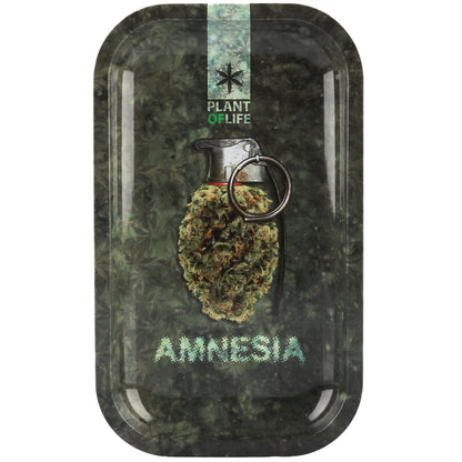 Amnesia